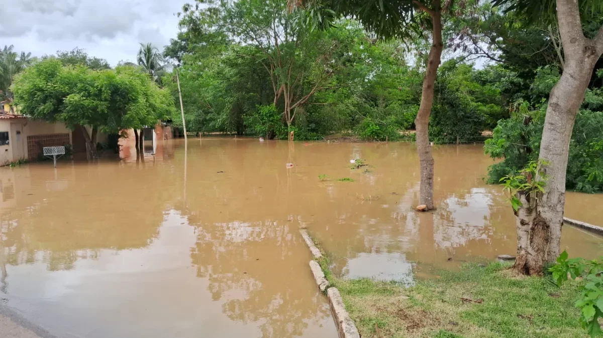 Ação de limpeza da ASDEC nos rios de Cacoal