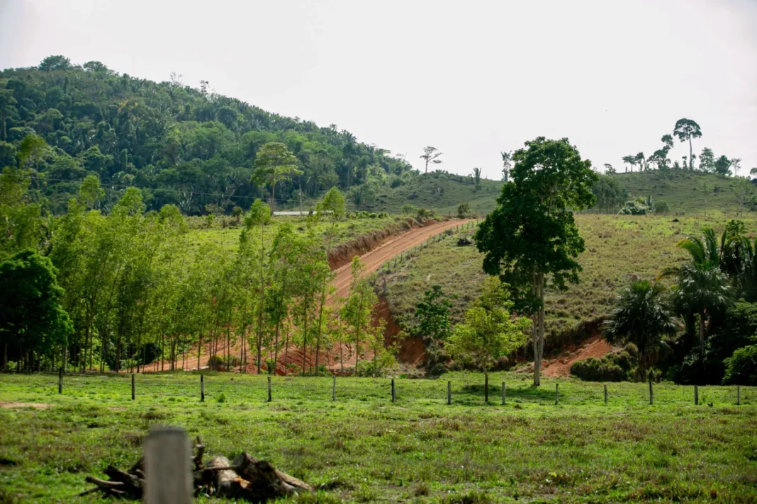 Ezequiel Neiva investe na agricultura familiar e infraestrutura rural em Vale do Anari