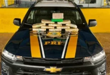 PRF em Rondônia apreende mais de 10 kg de droga em Pimenta Bueno