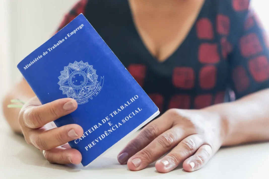 Sine Municipal de Porto Velho oferece 264 vagas de emprego