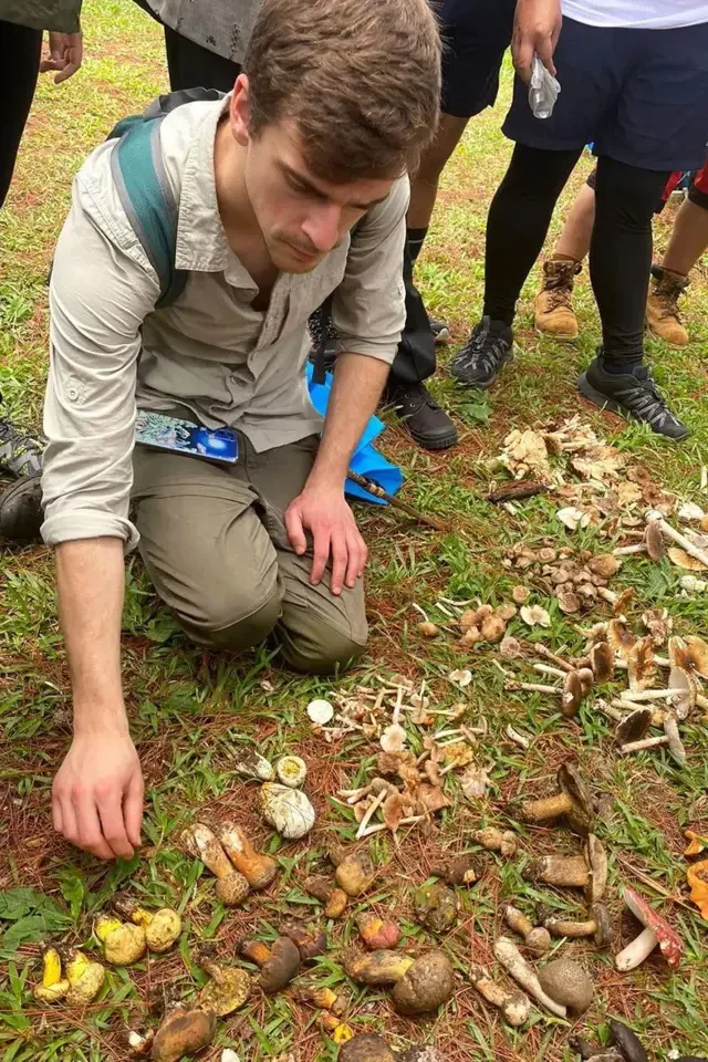 Um homem com camiseta cinza clara e calças verdes agacha sobre a grama, com uma fileira de cogumelos dispostos no chão à sua frente
