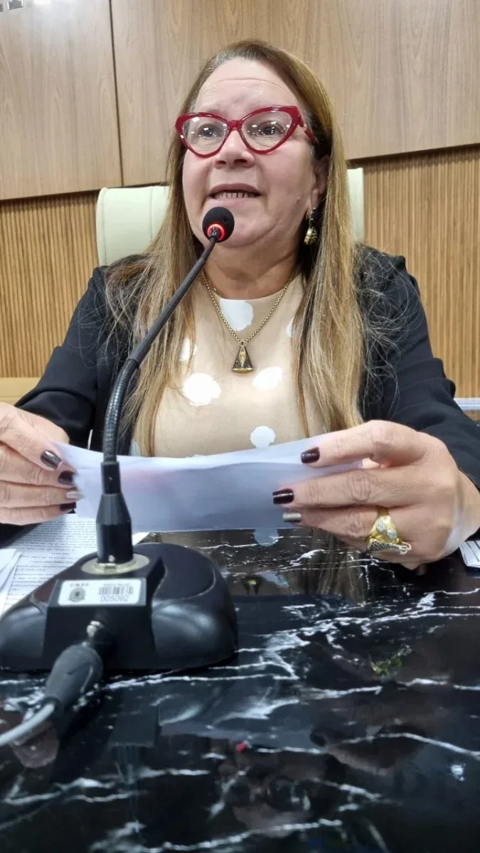 Ellis Regina | Faixas | Taxi e Aplicativo | Porto Velho