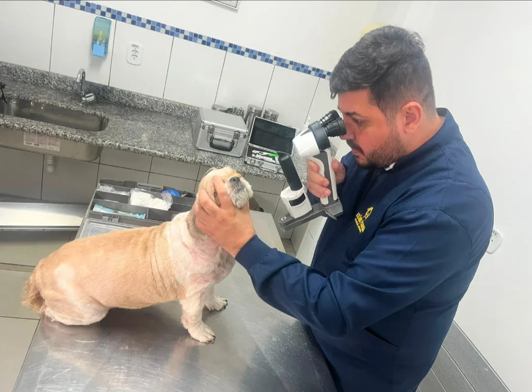Saúde Pet: Cães e gatos tem a chance de atendimento oftalmológico especializado em Cacoal e Pimenta Bueno nos dias 18 e 25 de agosto
